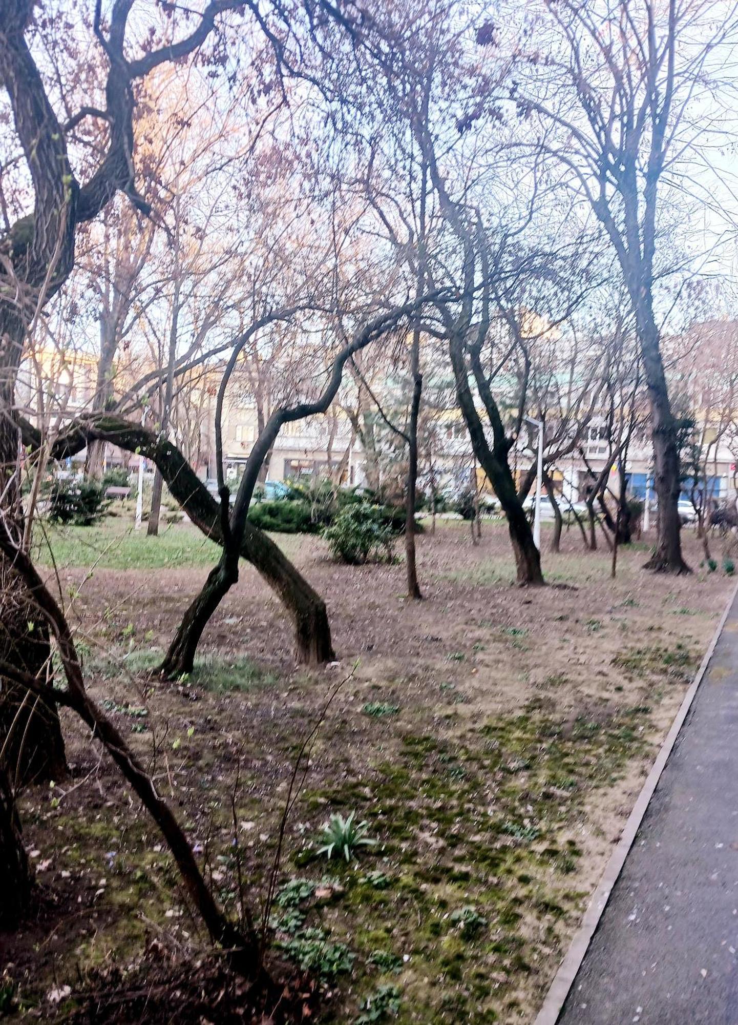 شقة The House In The Park بوخارست المظهر الخارجي الصورة